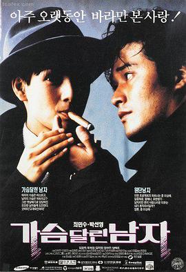 大地电影资源第二页 热播榜第一《雾港谜航》